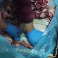 Et entegre tesisinde şok! Piyasa değeri 25 milyon TL!