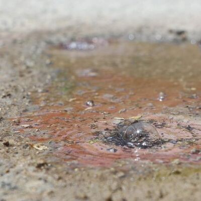 Şaşkınlık yaratan görüntü... 70 derece olarak ölçüldü!