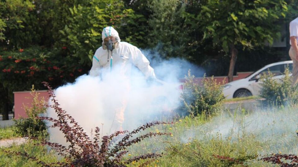 "Korona böcek ve sineklerle taşınabilir!"