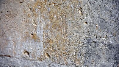 500 yıl önce çizilmişti... Hayat buldu