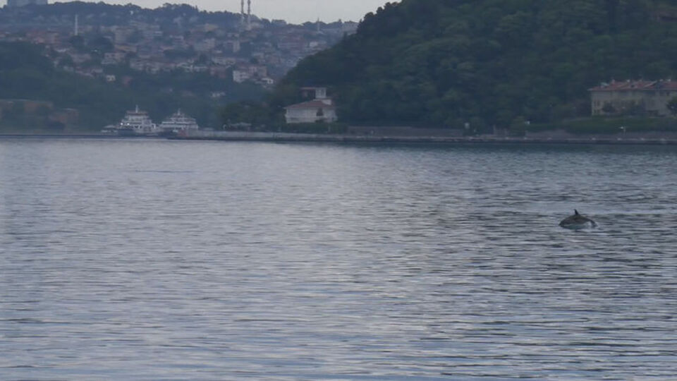 Kısıtlamada Boğaz'ın keyfini çıkardılar