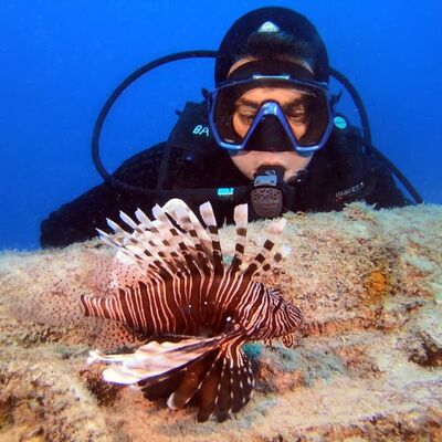 'Balon balığı'ndan sonra şimdi de...