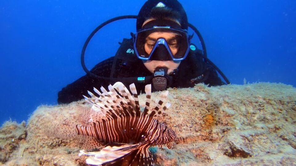 'Balon balığı'ndan sonra şimdi de...