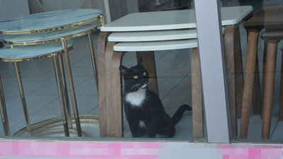 Mağazada 3 gün mahsur kaldı