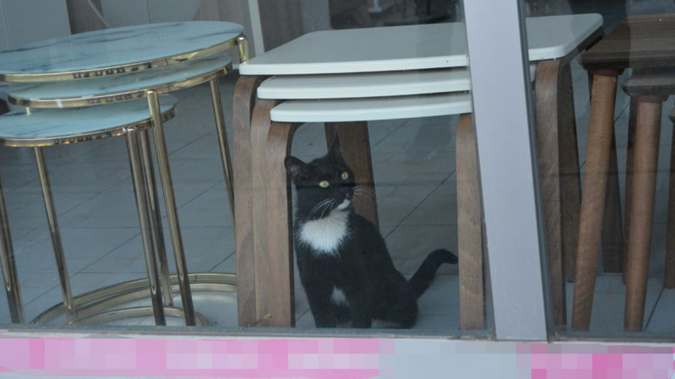 Mağazada 3 gün mahsur kaldı