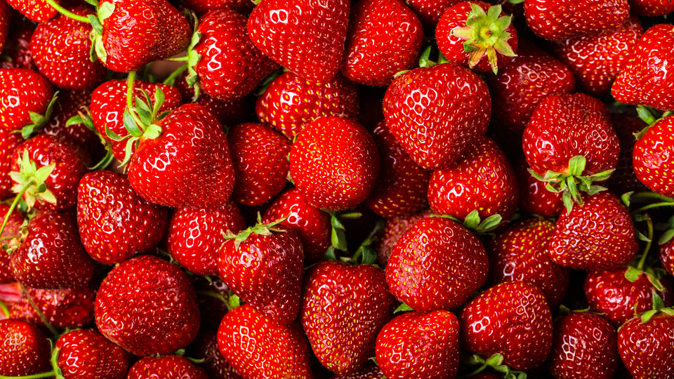 Çilekte görülen kurtçuklar zararlı mı?