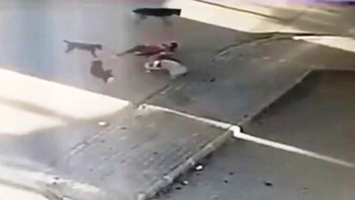 Köpeğini kurtarmak için canını hiçe saydı!