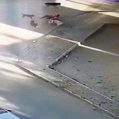 Köpeğini kurtarmak için canını hiçe saydı!