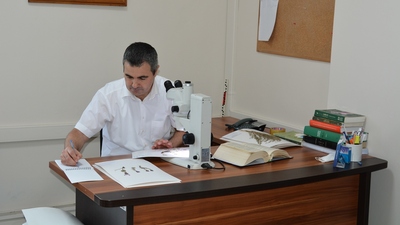 Balıkesir'de 8 yeni bitki türü keşfedildi