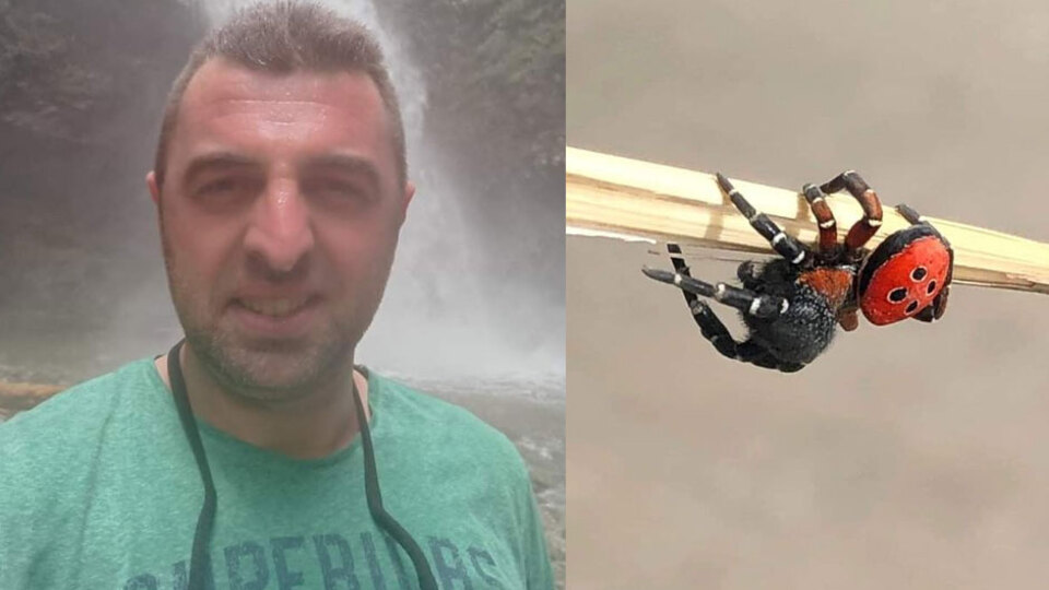 Uğur böceği zannetti, bakın ne çıktı!