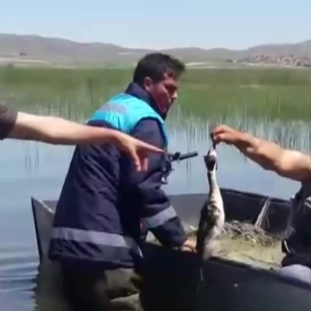 Kaçak ağlar onların da sonu oluyor!