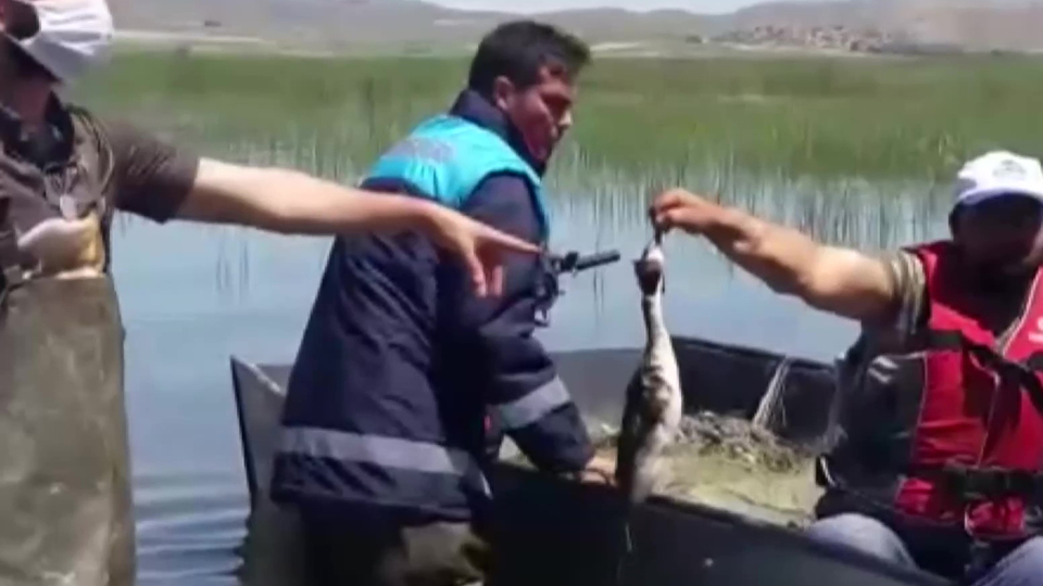 Kaçak ağlar onların da sonu oluyor!