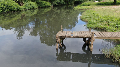 Riva'da içler acısı görüntü!