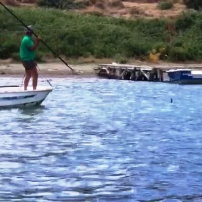 Akılalmaz olay! Köpek balığına işkence!