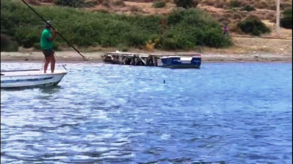 Akılalmaz olay! Köpek balığına işkence!