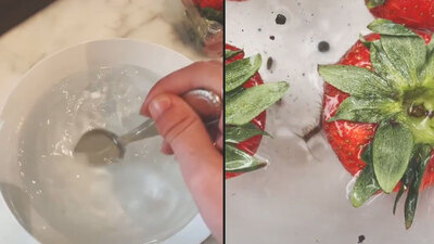 Çilekteki böcekler gündem olmuştu! İşin aslı belli oldu