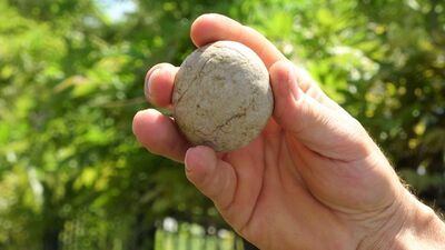 Dedesi 'çok kıymetli' diye hediye etmişti... Bankada saklıyor