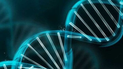 6. His nedir? 6. his nasıl geliştirilir?