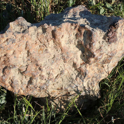 Nohut ekerken bulmuştu... Türkiye'de üçüncü