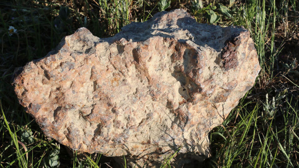 Nohut ekerken bulmuştu... Türkiye'de üçüncü