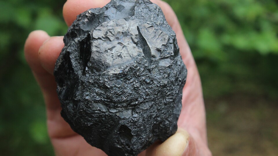 Ot biçerken tarlada buldu...