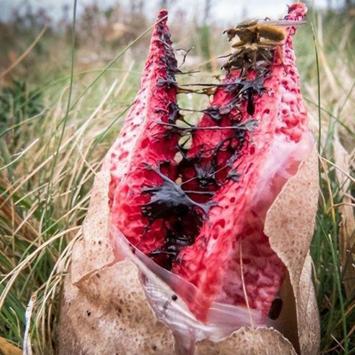 Milyonlarcası bir arada! Tavanda buldu