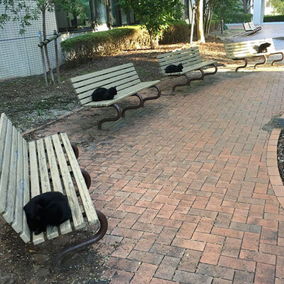 Paylaşım rekorları kırıyor! Onlar da kurala uydu