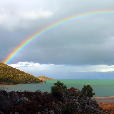 293 park tekrar açılıyor