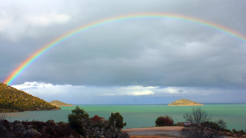 293 park tekrar açılıyor