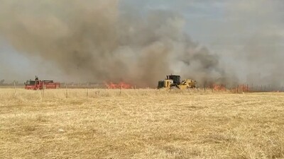 Feci olay! 600 dönümlük tarlayı ateşe verdiler!