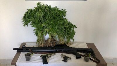 Bolu'da uyuşturucu operasyonu!