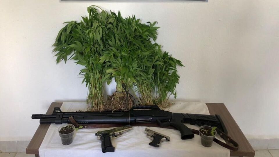 Bolu'da uyuşturucu operasyonu!