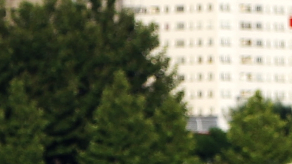 İran'dan korkutan koronavirüs açıklaması!