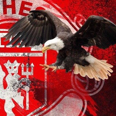 Kartal kapıyı çalacak!