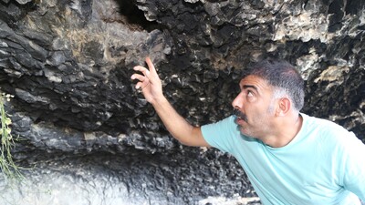 Türk bilim insanından yarasa uyarısı!