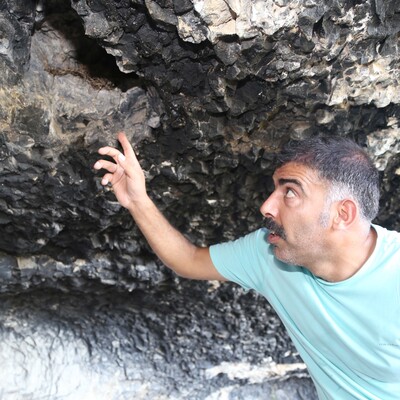 Türk bilim insanından yarasa uyarısı!