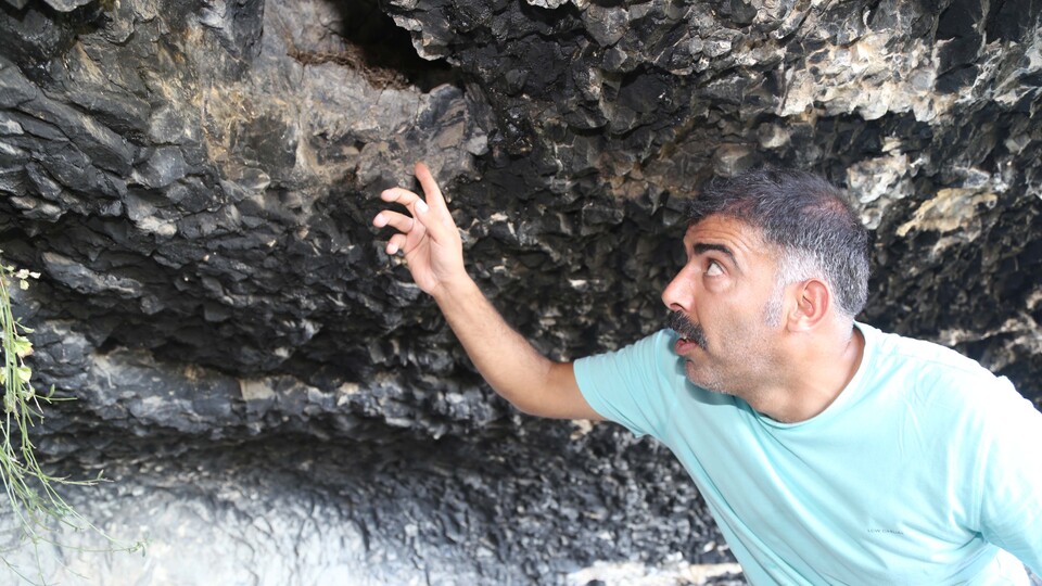 Türk bilim insanından yarasa uyarısı!