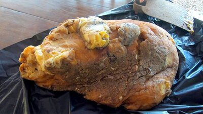 Balina Kusmuğu nedir, neden değerlidir?