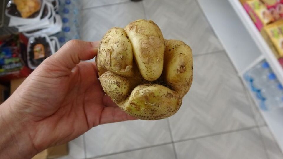 Yumruk değil patates!