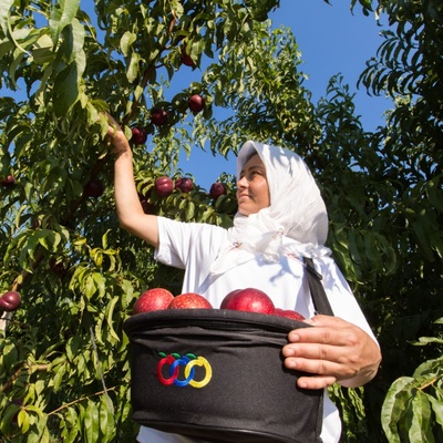 Anadolu Etap'a 60 milyon Euro kredi