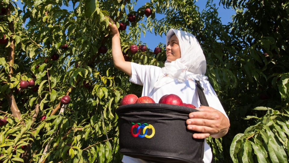 Anadolu Etap'a 60 milyon Euro kredi