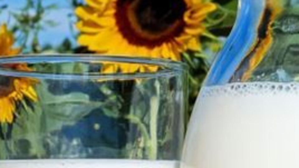 'Güçlü bağışıklık sistemi için süt için' önerisi