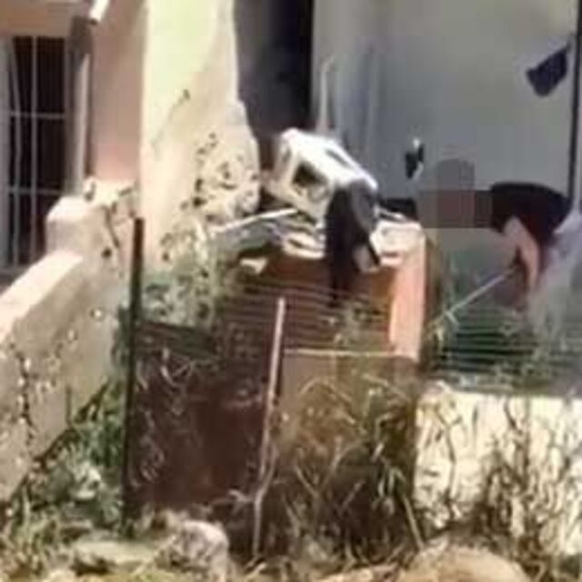 Köpeğe 'söz dinlemedin' şiddeti!