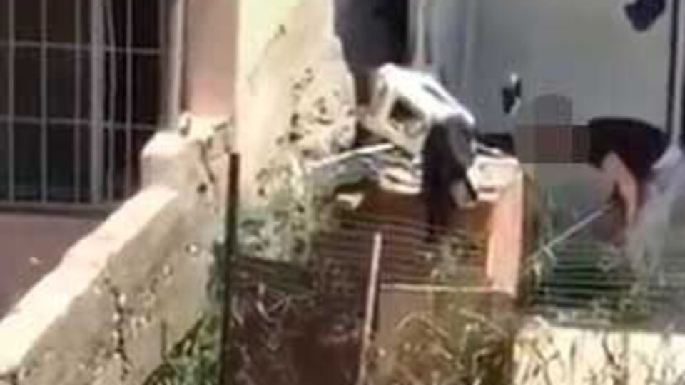 Köpeğe 'söz dinlemedin' şiddeti!