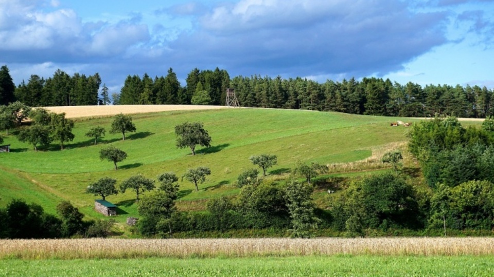 2B arazi kapsamı ve koşulları