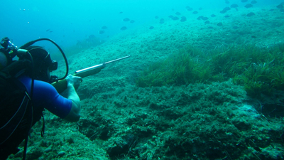 Avcı dalgıçlara ilişkin esaslar belirlendi