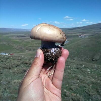 'Bana bir şey olmaz' demeyin Kesinlikle yemeyin...