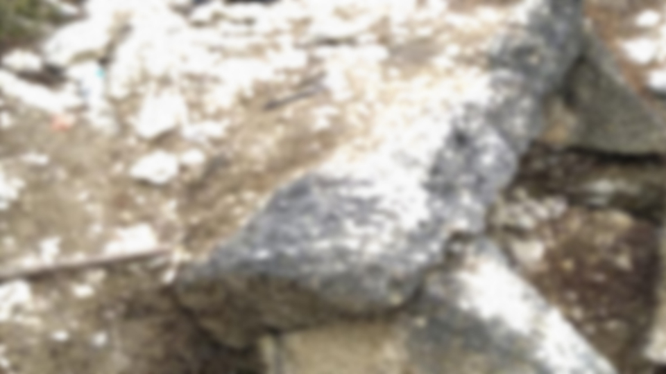 Bahçesinde bulundu, ceza yedi!