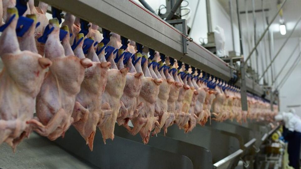 Üretimi robotlara emanet etti