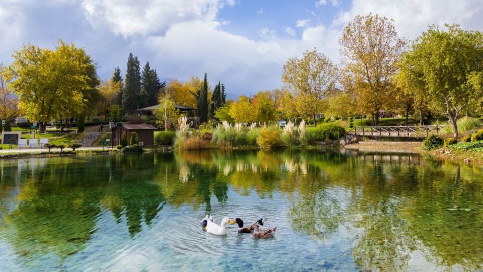 'Çocuklarımıza bırakacağımız en iyi miras: yaşanılabilir bir dünya'